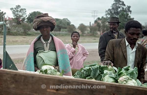 1975. Südafrika. Gemüsehändler mit Kohlköpfen. Afrikaner