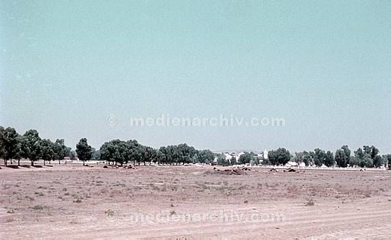 1970. Afrika. um 1970. Afrika. Tunesien - Africa. Tunisia -