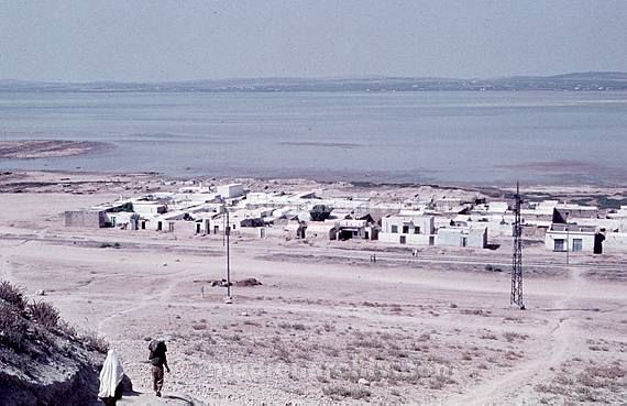 um 1970. Afrika. Tunesien - Africa. Tunisia. Dyerba. Djerba