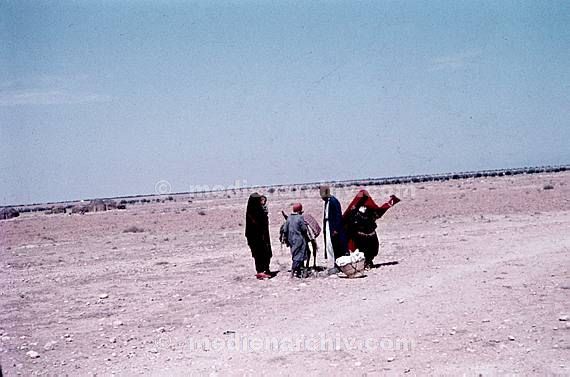 um 1970. Afrika. Tunesien - Africa. Tunisia. Dyerba. Djerba