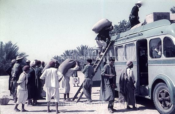 um 1970. Afrika. Tunesien - Africa. Tunisia. Dyerba. Djerba