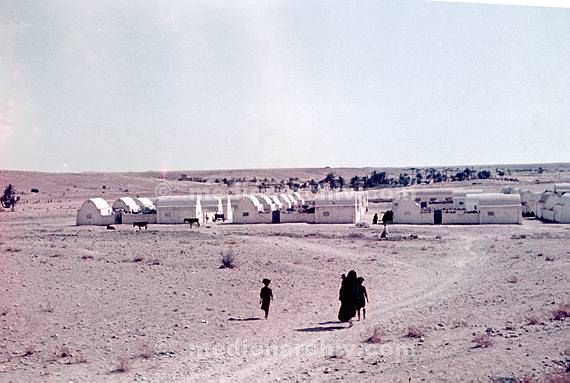 um 1970. Afrika. Tunesien - Africa. Tunisia. Dyerba. Djerba