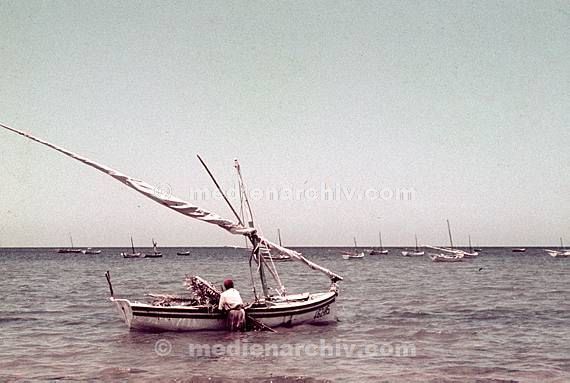 um 1970. Afrika. Tunesien - Africa. Tunisia. Dyerba. Djerba