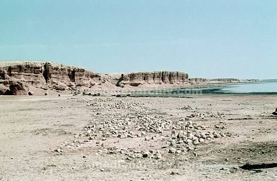 um 1970. Afrika. Tunesien - Africa. Tunisia. Dyerba. Djerba