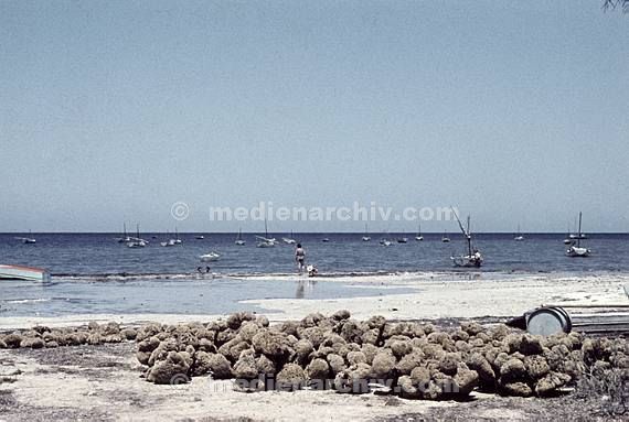 um 1970. Afrika. Tunesien - Africa. Tunisia. Dyerba. Djerba