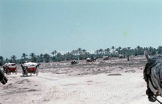 1970. Afrika. um 1970. Afrika. Tunesien - Africa. Tunisia -