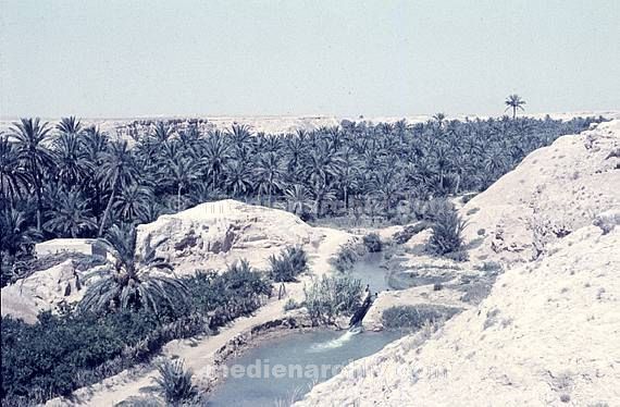 um 1970. Afrika. Tunesien - Africa. Tunisia. Gabis