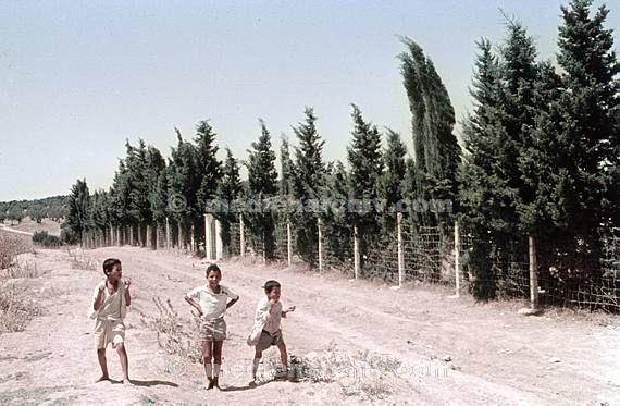 um 1970. Afrika. Tunesien - Africa. Tunisia. Gabes