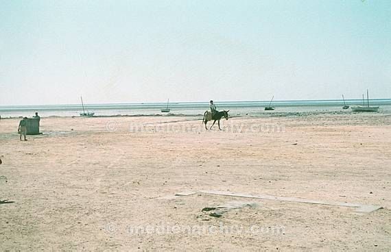 um 1970. Afrika. Tunesien - Africa. Tunisia. Gabes