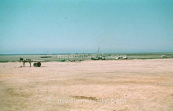 um 1970. Afrika. Tunesien - Africa. Tunisia. Gabes