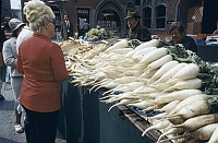 1980. Deutschland. Regensburg. Radi auf dem Gemüsemarkt.