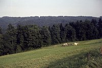 1980. Deutschland. Regensburg.