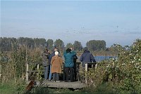 23. 10. 2010. Brandenburg. Linum. Schaulustige bei Vogelbeobachten.