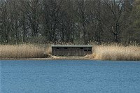 18. 4. 2010. Brandenburg. Linum. Fischteiche. Schilfgürtel. Vogelbeobachterhütten.