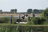 29. 5. 2011. Brandenburg. Linum