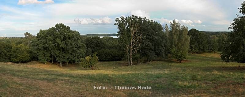 7. 9. 2008. Mecklenburg-Vorpommern. Feldberger Seenlandschaft. Landschaft auf dem Hauptmannsberg bei Carwitz. (Panorama aus mehreren Teilbildern)