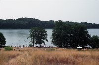 Mai 1995. Mecklenburg-Vorpommern. Feldberger Seen-Gebiet. Carwitz. Bohnenwerder am Carwitzer See