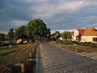 Juni 1999. Mecklenburg-Vorpommern. Feldberger Seen - Gebiet. Carwitz
