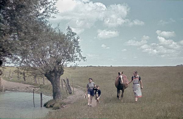 1940. Mecklenburg-Vorpommern. Darß. Ostsee. Frauen mit Pferd