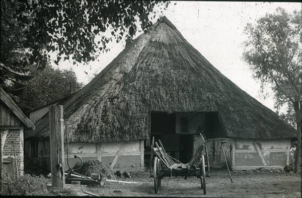 1940. Mecklenburg-Vorpommern. Darß. Ostsee. Reetdachgedecktes Haus. Fachwerkhaus. Scheune