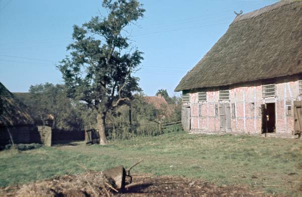 1940. Mecklenburg-Vorpommern. Darß. Ostsee. Fachwerkhaus