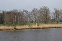 6. 2. 2013. Niedersachsen. Osten (gehört zur Samtgemeinde Hemmoor) Fluss Oste. Deich