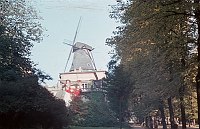 1943. Brandenburg. Potsdam. Mühle