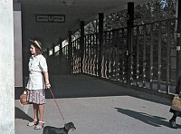 1943. Berlin. (Schöneberg ?) Junge Dame mit Hund an einer U-Bahn Station