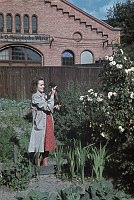 1943. Berlin. Tempelhof. Drittes Reich. 2. Weltkrieg. Alltag in Berlin. Junge Frau mit ihrem Hund im Garten.