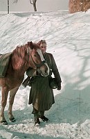 1943. Österreich. Alpen. Soldat mit Pferd und Gewehr im Schnee. Winter . Zweiter Weltkrieg