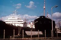 1955. Belgien. Antwerpen. Hafen. Schiffe. Fluss Schelde