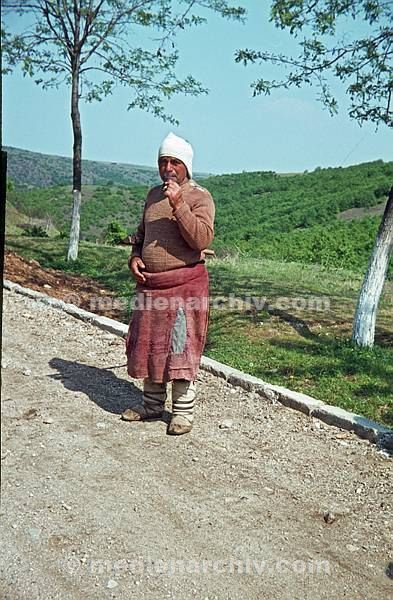 1964. Bulgarien. Plovdiv. Hirte zwischen zwei Bäumen