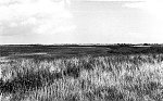 August 1988. Insel Mön. Dänemark.