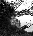 August 1988. Insel Mön. Dänemark. Steilküste an der Ostsee. Kreidefelsen.