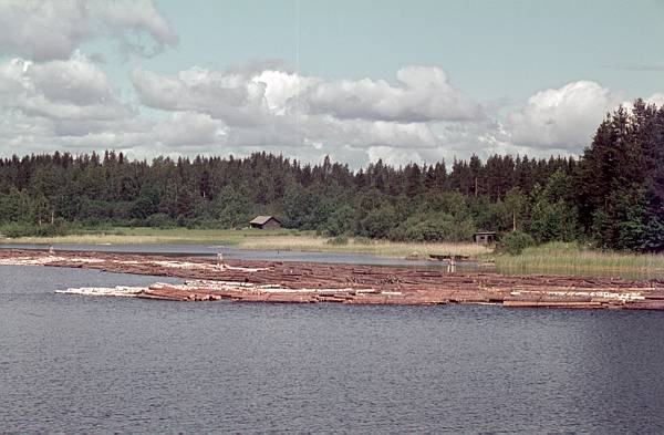 Helsinki. bereit liegendes Holz. Floß. flößen