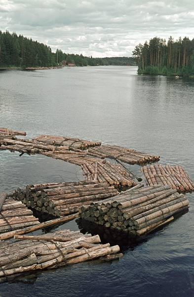 Helsinki. Flossholz.