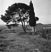 vermutlich 1967. Frankreich. Südfrankreich