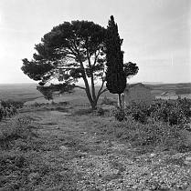 vermutlich 1967. Frankreich. Südfrankreich