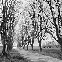 vermutlich 1967. Frankreich. Südfrankreich