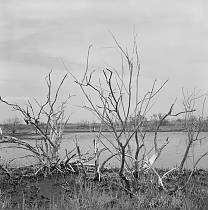 vermutlich 1967. Frankreich. Südfrankreich