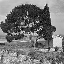 vermutlich 1967. Frankreich. Südfrankreich
