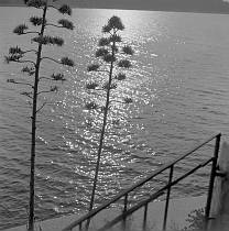 vermutlich 1967. Frankreich. Südfrankreich