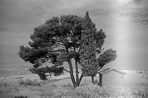 vermutlich 1967. Frankreich. Südfrankreich