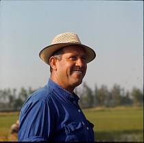 vermutlich 1967. Frankreich. Südfrankreich. Weinanbau. Landwirtschaft