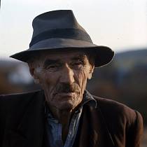 vermutlich 1967. Frankreich. Südfrankreich. Weinanbau. Landwirtschaft