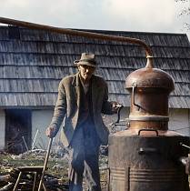 vermutlich 1967. Frankreich. Südfrankreich. Weinanbau. Landwirtschaft