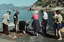 1958. Frankreich. Korsika. Fischmarkt.