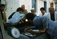 Juni 1991. Griechenland. Fischverkäufer mit Kunden. Fischhändler.