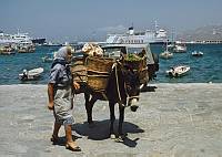 Juni 1991. Griechenland. Griechin. Frau mit einem Lastesel mit Körben in einem Hafen.