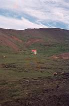 1967. Island. Berge. Hütte in der Landschaft
